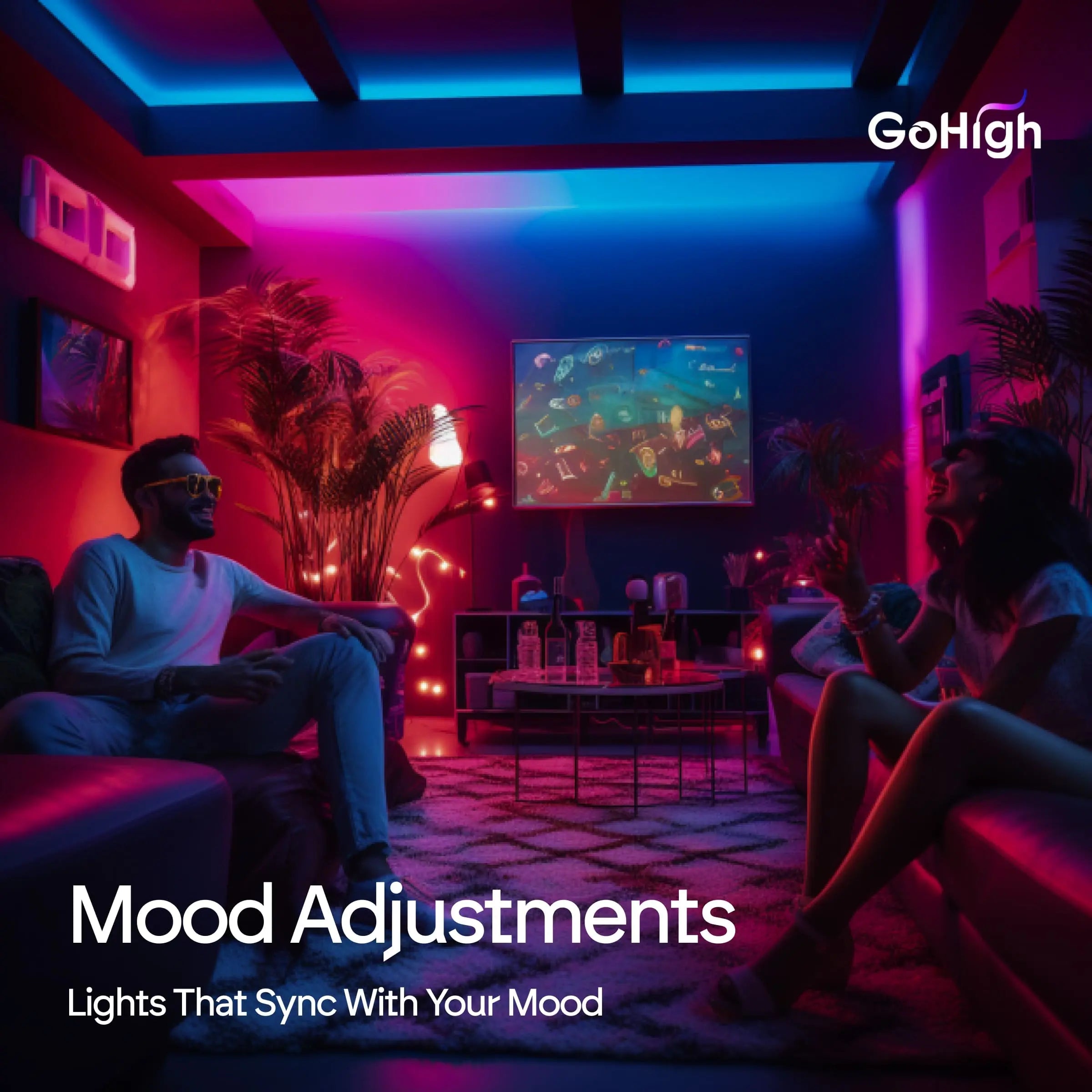 GoHigh Dream 12 Volt Smart Strip Light (20 Meter)